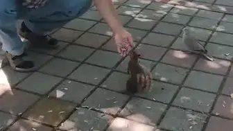 İnegöl’de bir çay bahçesinde beklenmedik dostluk
