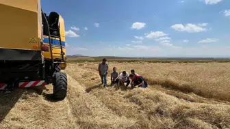 Kars'ta tarlada kayıp dönemi bitti, biçerdöverlere sıkı denetim