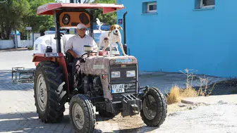 Sokaktan kurtardığı köpeğiyle tarlada mesai arkadaşı oldu