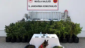 Bodrum’daki bir evde uyuşturucu serası bulundu