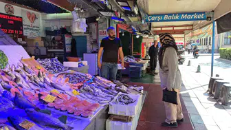 Sofralarda palamut dönemi başlıyor