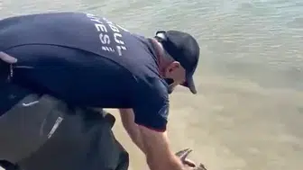 Sazlıbosna Barajı’nda balıkçı ağlarına dolanan karabatağı ekipler kurtardı