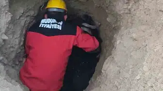 Mudurnu kırsalında zor anlar yaşayan keçi kurtarıldı