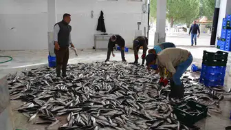 Muğla’nın Dış Ticaret Dengesi Temmuz’da İhracat Lehinde Gelişti