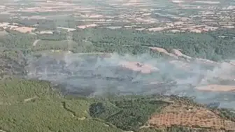 Çanakkale'de korkutan orman yangını: Ekiplerin yoğun çabası sonuç verdi