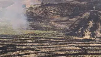 Siirt’te kontrolsüz anız ateşi 100 meyve ağacını küle çevirdi