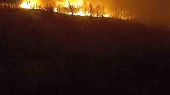 Şuhut köyünde anız yangını korkuttu