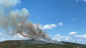 Gebze’deki orman yangını 90 dakikada söndürüldü