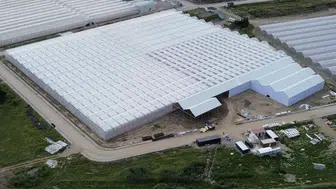 Samsun Bafra'da dev seralar topraksız üretime geçti