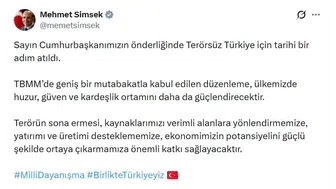 Mehmet Şimşek terörün bitişinin ekonomiye etkisini açıkladı