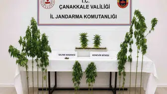 Jandarma üç ilçede bastı 7 gözaltı, 5 serbest