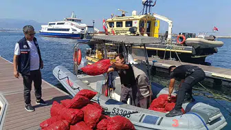 İzmir'de yasa dışı midye avına geçit yok