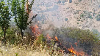 Malatya’da alevler meyve bahçelerini yuttu