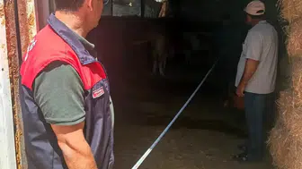 Ağın ilçesindeki ahırlarda sıkı denetim dönemi