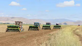 Bayburt'ta hayvancılar için yeni mera alanı devreye girdi