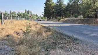 Eskişehir yolunda yangın alarmı