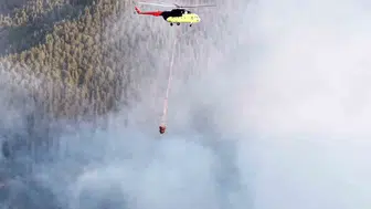 Taşköprü'de orman yangını Ekipler alevlere havadan ve karadan müdahale etti