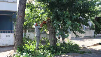 Nazilli belediyesi parklarda sonbahar mesaisine başladı