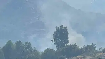Dalaman ormanlarında yangın alarmı