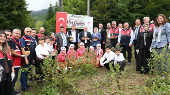 Kastamonu'nun yeni gözdesi: Şenpazar'da aronya bereketi yaşanıyor