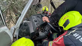 Zeytinlikte korku dolu anlar: Araca giren arı kazaya davetiye çıkardı