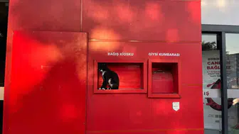 Kızılay'ın kırmızı köşesinde beklenmedik nöbetçi: Bağış kioskuna yerleşti