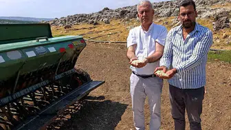 Araban'da sarımsak üretiminde devrim: Zambak anaç dönemi resmen başladı
