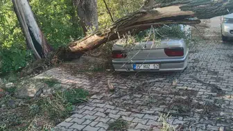 Beyşehir'de rüzgarın şiddeti park halindeki aracı hurdaya çevirdi