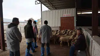 Karapınar'da sofralara gelen etin yolculuğu mercek altına alındı