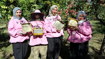 Artos Dağı'nın Pembe Maskeli Kadınları: Geleneksel Kara Kovan Balında Hasat Heyecanı