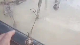 Sel suları emeğini alıp götürdü ama o minik canlıları unutmadı