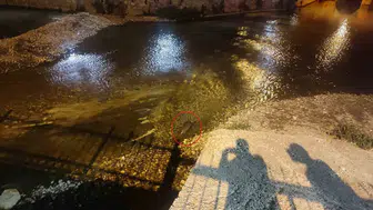 Bozkır'ın sakinleri objektiflere yakalandı: Çarşamba Çayı'nda beklenmedik misafirler