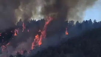 Kızılcahamam'da korkutan alevler: Yayla bölgesinde orman yangını paniği