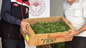 Burdur'da seracılığa büyük destek: Binlerce fide toprakla buluşuyor