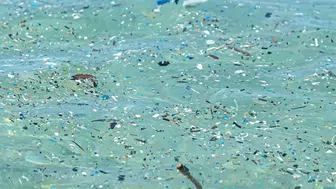 Gezegenin plastik kabusu: 2060 yılına kadar üç katına çıkacak devasa bir tehditle karşı karşıyayız