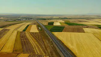 Kars Ovası'nda Hasat Mevsimi: Topraklar Dev Bir Kilim Gibi Dokundu