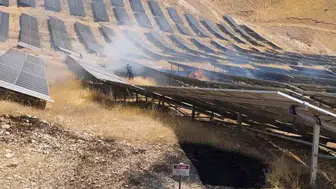 Siirt'te güneş tarlasında korkutan alevler: Ekipler seferber oldu