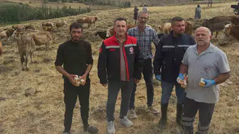 Aydıntepe'de besicilere kritik uyarı: Yonca tarlaları ölümcül risk taşıyor