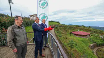 Gökyüzünün gezginleri yeniden özgür: Rize'de tedavi edilen arı şahinleri göç yolculuğuna uğurlandı