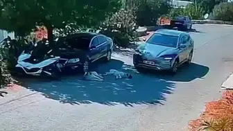 Bodrum'da vicdansızlık kamerada: Yolda yatan köpekleri ezip durmadan gitti