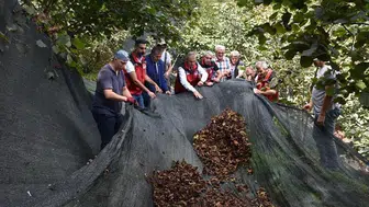 Ordu'da fındık hasadında devrim: Maliyetleri yüzde 80 aşağı çeken yöntem