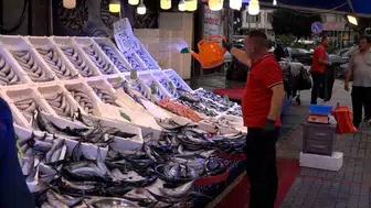 Karadeniz'de balık bereketi: Sofraların vazgeçilmezi palamut cep yakmıyor