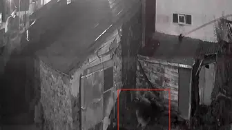 Ardahan'da gece yarısı dehşeti: Güvenlik kamerası o anları kaydetti