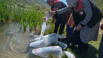 Karabük'ün su kaynakları 105 bin yeni misafirle canlandı