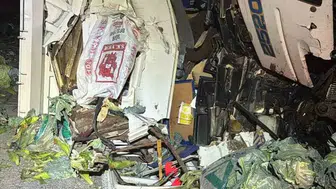 Tarsus-Pozantı yolunda acı son: Sebze yüklü kamyonun sürücüsü hayatını kaybetti