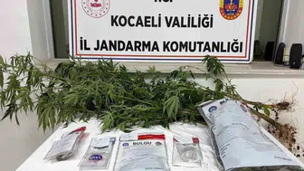 İzmit'te jandarma baskını: İki adreste zehir tacirlerine ağır darbe