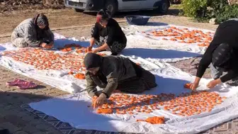 Kütahya'da kış hazırlığı: Geleneksel tarhana mesaisi imeceyle şenliğe dönüştü