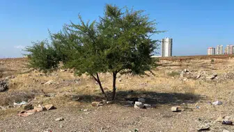 Adana'da boş arazideki cansız beden sırrını koruyor
