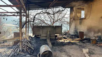 Kumluca'da alevler dindi: Binlerce dönümlük alan küle döndü