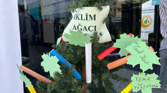 İklim krizine karşı İzmit'te anlamlı buluşma: Fidanlar toprakla, dilekler ağaçla buluştu